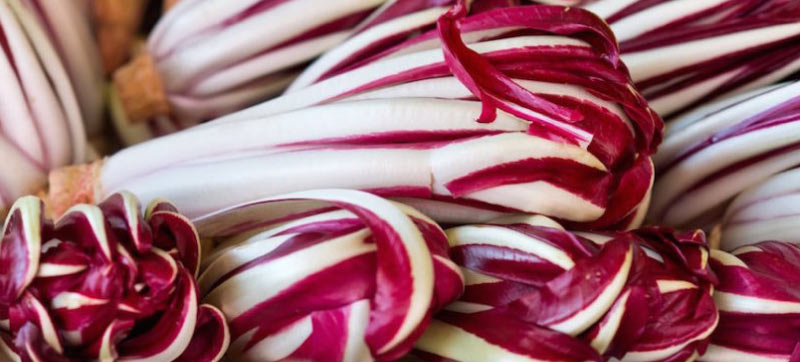 Radicchio rosso IGP