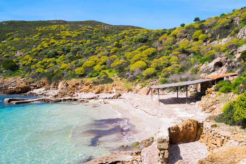 Isla de asinara