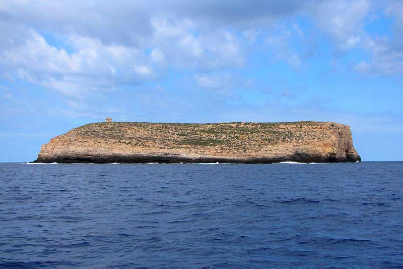 Island of Lampione