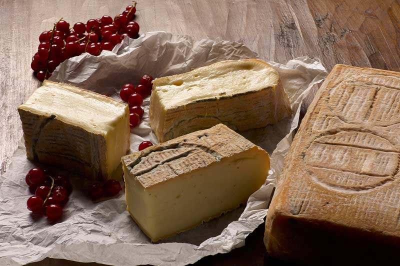 taleggio dop