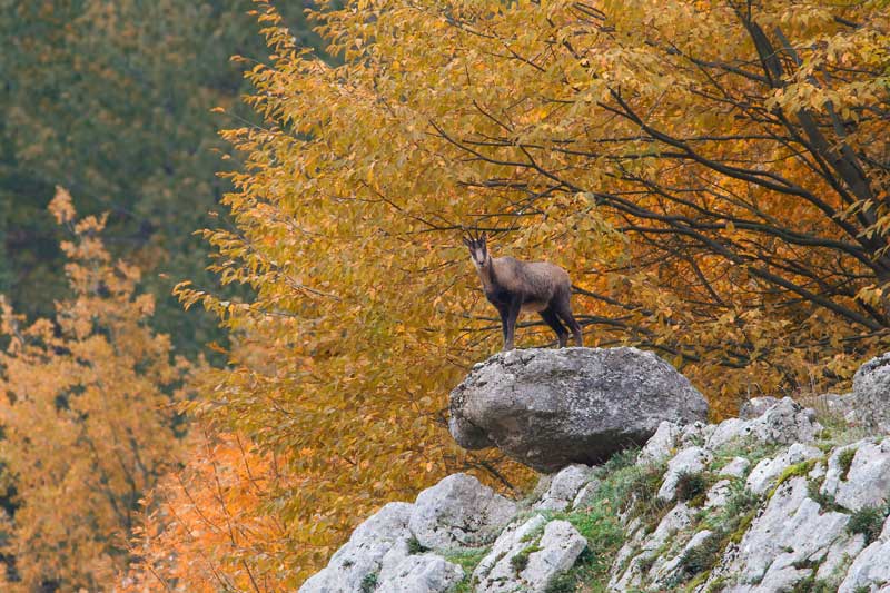 parco della majella