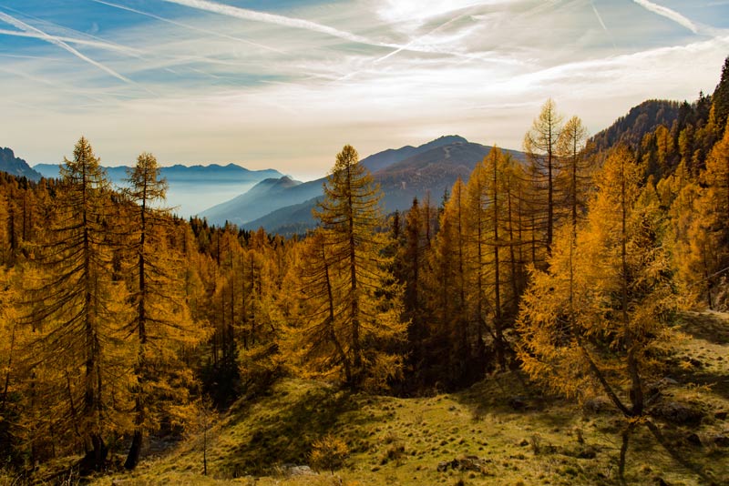 Ippovia del Trentino Orientale