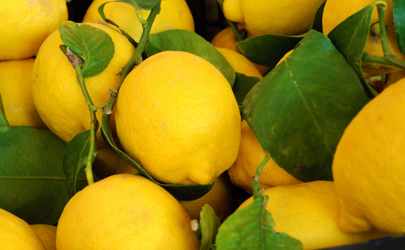 Limoni di Siracusa