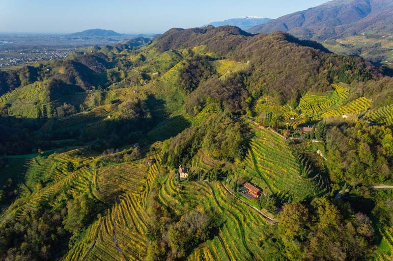 Colline di Conegliano