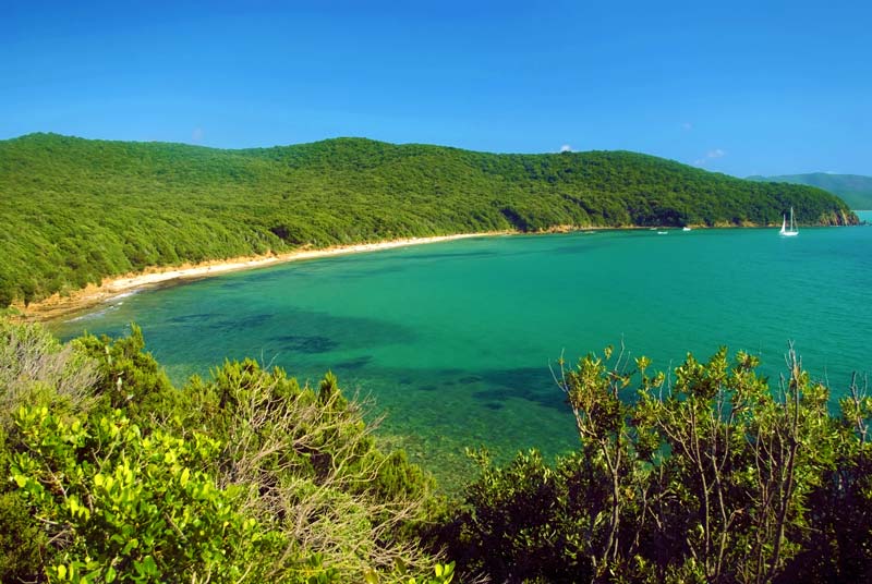 Cala Violina, Scarlino