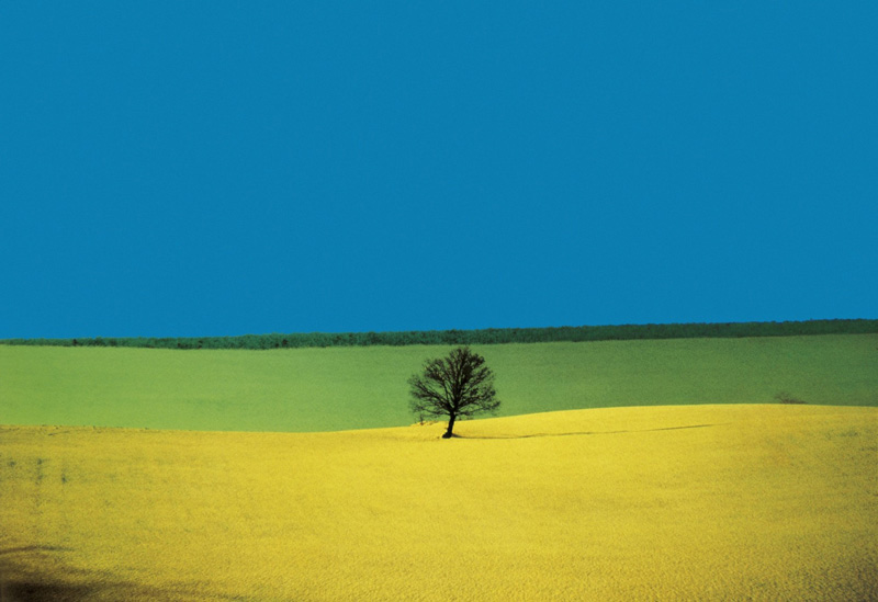 Franco Fontana