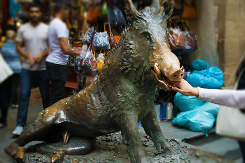 La fontana del cinghiale, Firenze