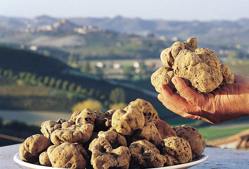 Fiera Internazionale del tartufo bianco d'Alba