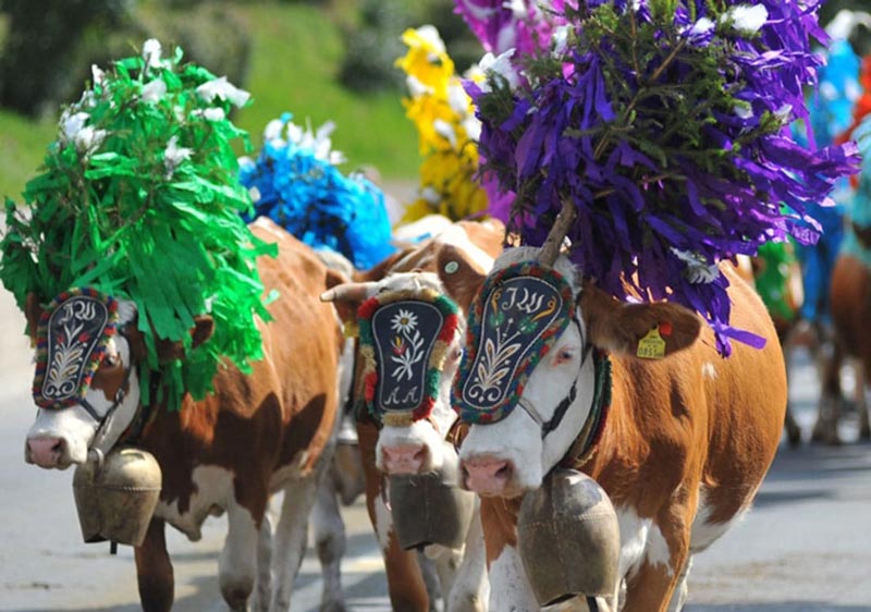 Festa della Transumanza