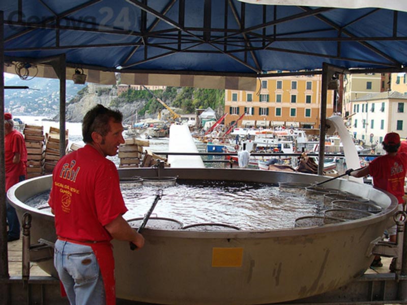 Sagra del Padellone Camogli