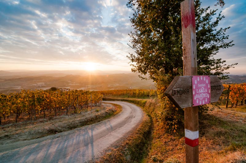 Strade del Barolo