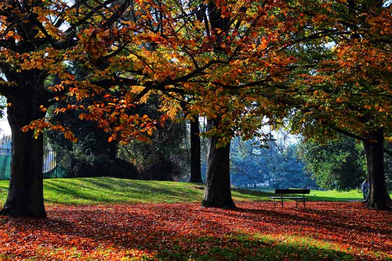 Parco della Pellerina