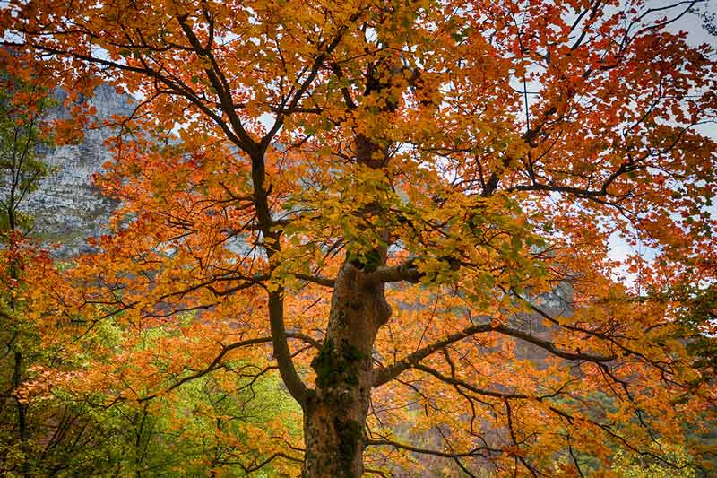 Parco Nazionale dei Monti Sibillini