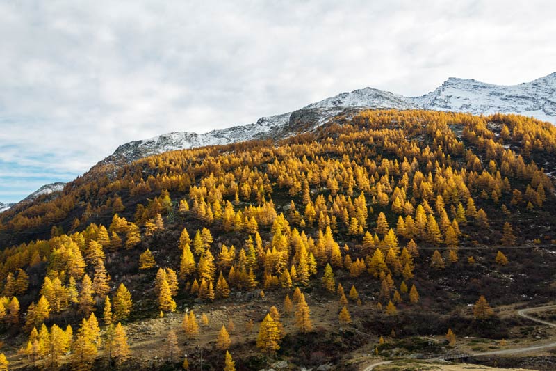 Parco Nazionale del Gran Paradiso