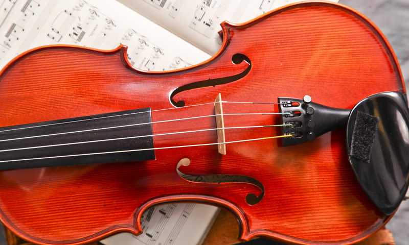 Violino Paganini 3D