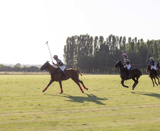 Polo for the Cure: un torneo d’equitazione per lottare contro il tumore al seno con Komen Italia