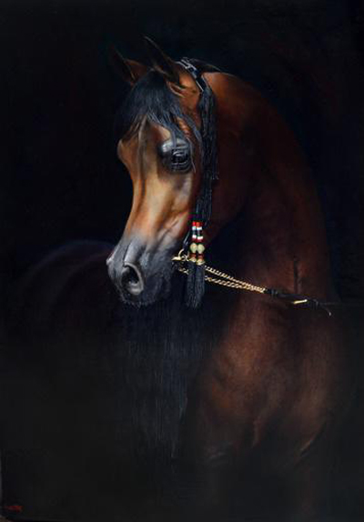 Michi Grassi: the Italian Art Shines at the Global Champions Arabians Tour