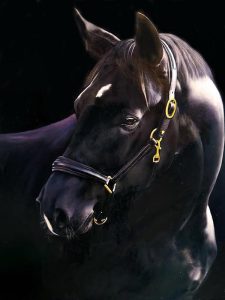 Michi Grassi and His Incredible Equestrian Art on Display at the UAE President Cup in Rome