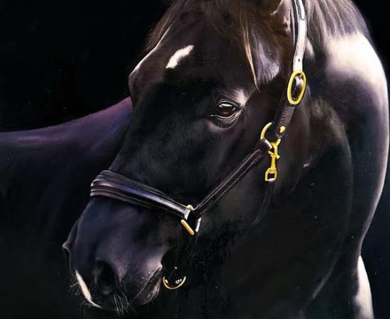 Michi Grassi and His Incredible Equestrian Art on Display at the UAE President Cup in Rome