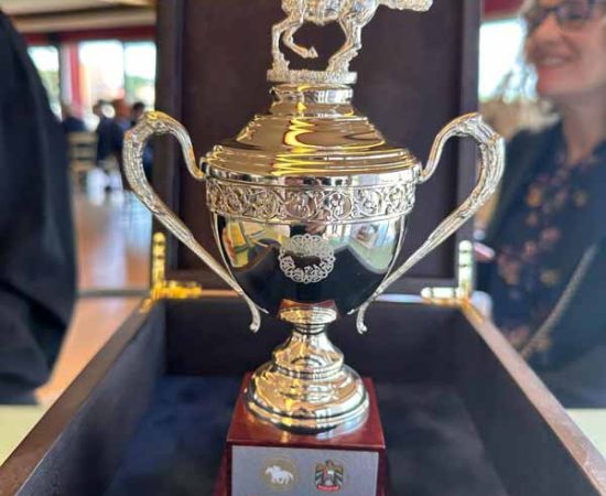 Michi Grassi and His Incredible Equestrian Art on Display at the UAE President Cup in Rome