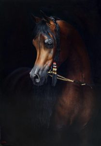 Michi Grassi and His Incredible Equestrian Art on Display at the UAE President Cup in Rome