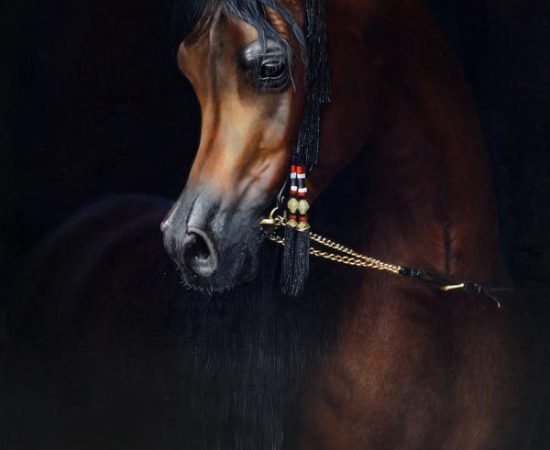 Michi Grassi and His Incredible Equestrian Art on Display at the UAE President Cup in Rome